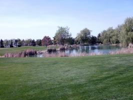 Hole 8 par 3 water hazzard to right of green